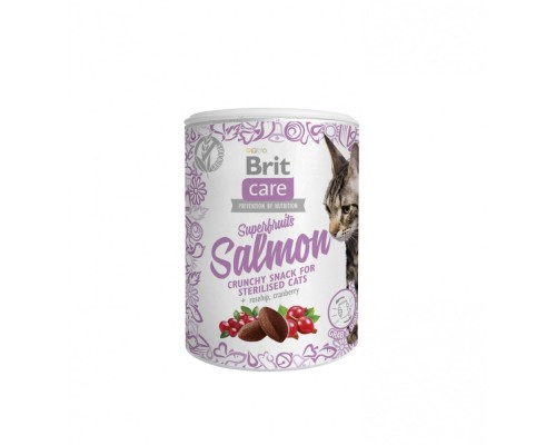 Ласощі для котів Brit Care Cat Snack Superfruits Salmon 100 г (8595602521449)