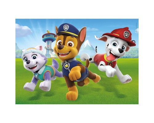 Пазл Clementoni Paw Patrol. New, 2 шт. по 20 елементів (24800)