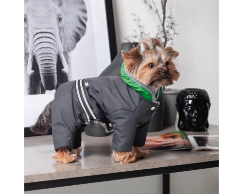 Костюм для тварин Buddy Boo Din XS2 (4823082432233)