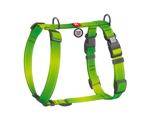 Шлея для собак WAUDOG Nylon Mono анатомічна H-подібна з QR паспортом, пластиковий фастекс, S салатова (54565)