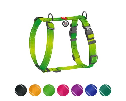Шлея для собак WAUDOG Nylon Mono анатомічна H-подібна з QR паспортом, пластиковий фастекс, S салатова (54565)