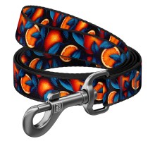 Повідок для собак WAUDOG Nylon 