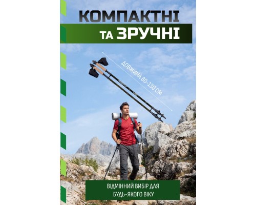 Палиці для скандинавської ходи PowerPlay 9105 Sisu Black/Gold 80-135 см (PP_9105_SISU)