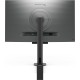 Монітор BenQ RD320UA Metallic Grey