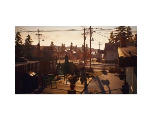 Гра Sony Life is Strange 2 [PS4, English version] (SLIS24EN01)