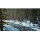Гра Sony Life is Strange 2 [PS4, English version] (SLIS24EN01)