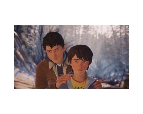 Гра Sony Life is Strange 2 [PS4, English version] (SLIS24EN01)