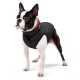 Курточка для тварин Airy Vest двостороння XS 22 червоно-чорна (1700)