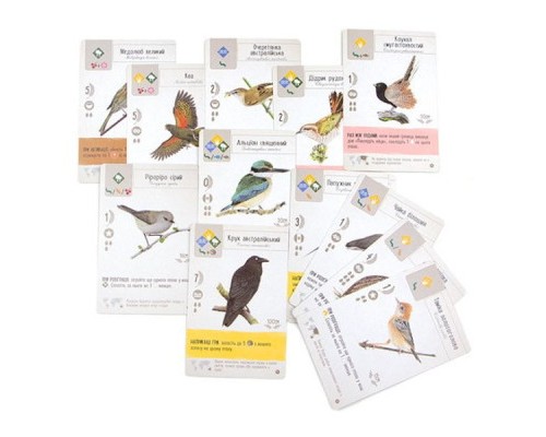 Настільна гра Ігромаг Крила: Птахи Океанії (Wingspan: Oceania Expansion) (STM903)