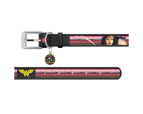 Нашийник для тварин WAUDOG Design з QR паспортом 