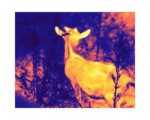 Монокуляр Guide Тепловізійний TD631LRF, 35mm, 640x480 (TD631LRF)