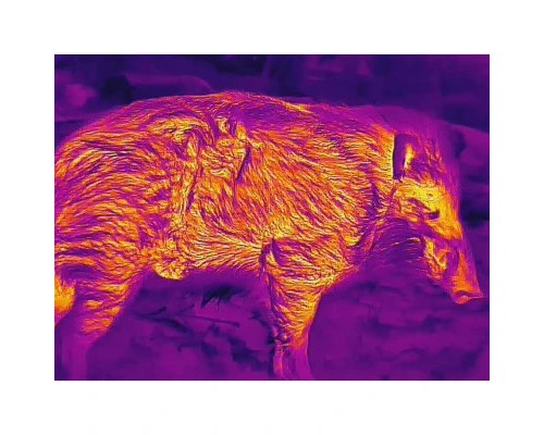 Монокуляр Guide Тепловізійний TD631LRF, 35mm, 640x480 (TD631LRF)