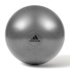 М'яч для фітнесу Adidas Gymball ADBL-11245GR Сірий 55 см (885652008518)