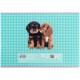 Альбом для малювання Kite Studio Pets, 24 аркуша (SP25-242)