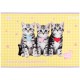 Альбом для малювання Kite Studio Pets, 24 аркуша (SP25-242)