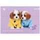 Альбом для малювання Kite Studio Pets, 24 аркуша (SP25-242)