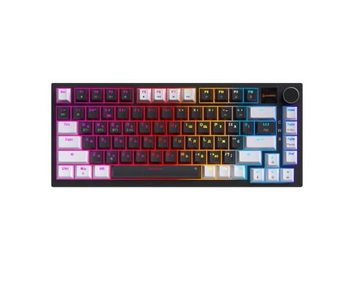 Клавіатура GamePro Asgard Valhalla Pro MK160B-D-Pro Rainy Switch Wireless/Bluetooth/USB UA Black (MK160B-D-Pro)