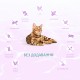 Сухий корм для кішок Optimeal Beauty Harmony беззерновий на основі морепродуктів 1.5 кг (4820215366908)