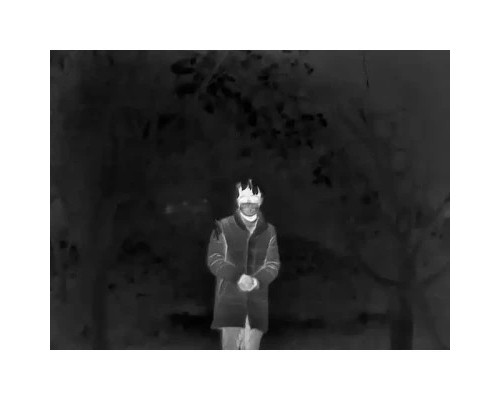 Монокуляр Guide Тепловізійний TrackIR Pro 50mm, 640x480, 2,9-23,2x, 3300м (TrackIRPro50mm)