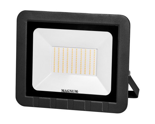Прожектор MAGNUM FL ECO LED 100Вт slim 6500К IP65 (90014089)
