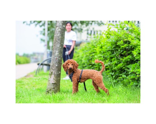Шлея для собак Trixie CityStyle H-harness Бавовна M–L 52–75 см 20 мм Чорна (4053032682634)