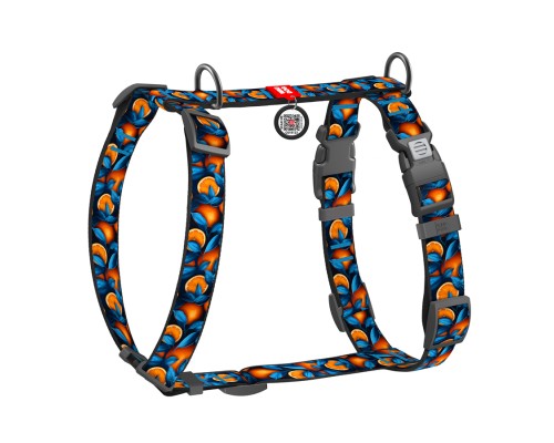 Шлея для собак WAUDOG Nylon анатомічна H-подібна з QR-паспортом 