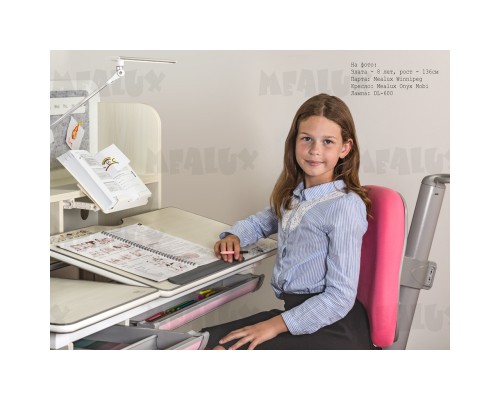 Парта з кріслом Mealux Winnipeg Multicolor Pink (BD 630 MG +PN+ Y-418 KP)