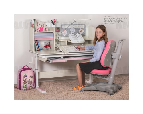 Парта з кріслом Mealux Winnipeg Multicolor Pink (BD 630 MG +PN+ Y-418 KP)