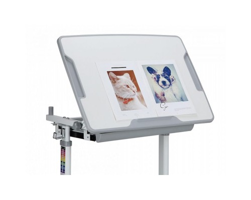 Парта зі стільцем Evo-kids Evo-06 Grey