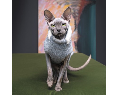 Светр для тварин Pet Fashion CAT L меланж (4823082429752)