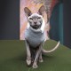 Светр для тварин Pet Fashion CAT L меланж (4823082429752)