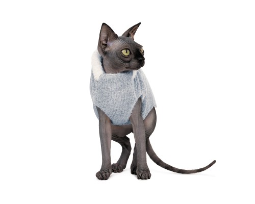 Светр для тварин Pet Fashion CAT L меланж (4823082429752)