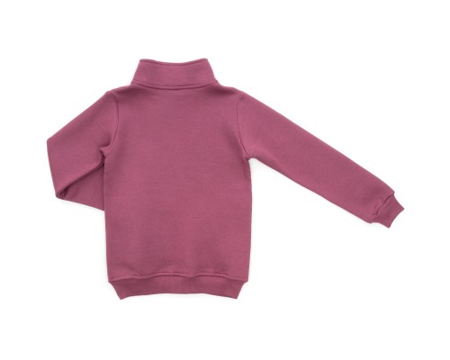 Спортивний костюм дитячий Joi флісовий (H-102-116G-pink)