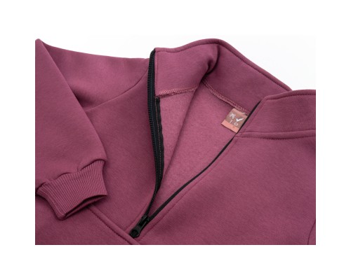 Спортивний костюм дитячий Joi флісовий (H-102-116G-pink)