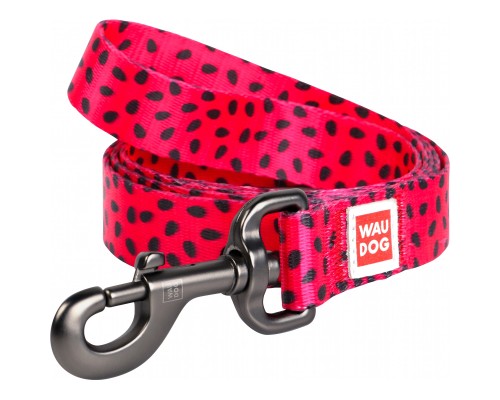 Повідок для собак WAUDOG Nylon 