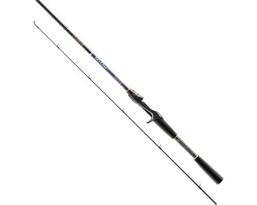 Вудилище Favorite Skyline Casting SKYC-842MH 2.54m 10-30g Ex.Fast (1693.05.66)