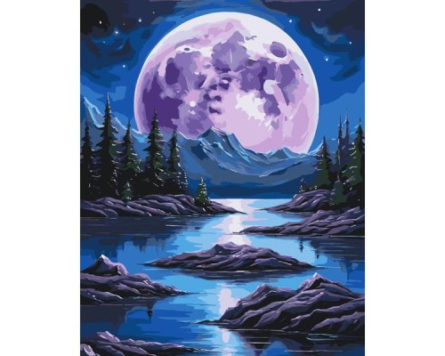 Картина по номерам ArtCraft Нічна магія 40х50 см (11059-AC)
