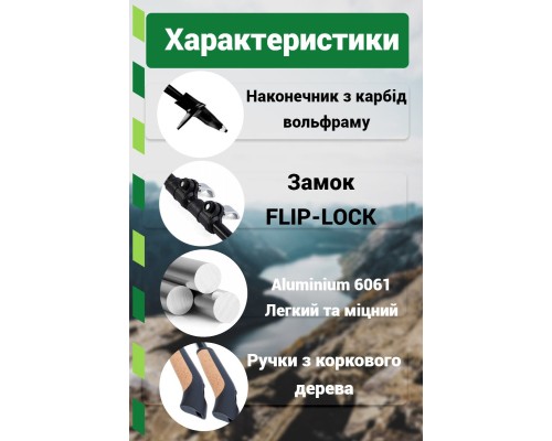Палиці для скандинавської ходи PowerPlay 9111 Lykke Black/White 80-135 см (PP_9111_White)
