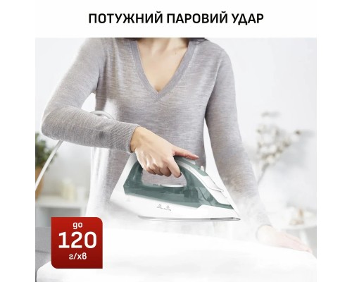 Праска Tefal FV2C42E0