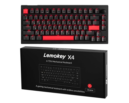 Клавіатура Lemokey Keychron X4 Brown Red LED USB Black (X4-A3-UA)