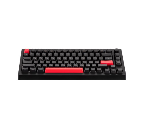 Клавіатура Lemokey Keychron X4 Brown Red LED USB Black (X4-A3-UA)