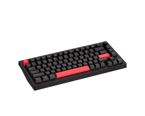 Клавіатура Lemokey Keychron X4 Brown Red LED USB Black (X4-A3-UA)