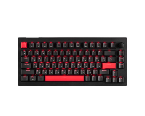 Клавіатура Lemokey Keychron X4 Brown Red LED USB Black (X4-A3-UA)