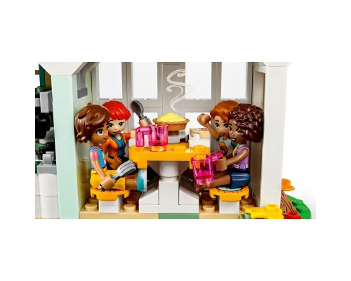 Конструктор LEGO Friends Будиночок Отом 853 деталі (41730)
