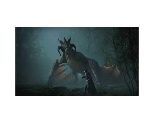 Гра Sony Hogwarts Legacy, BD диск (5051895413418)