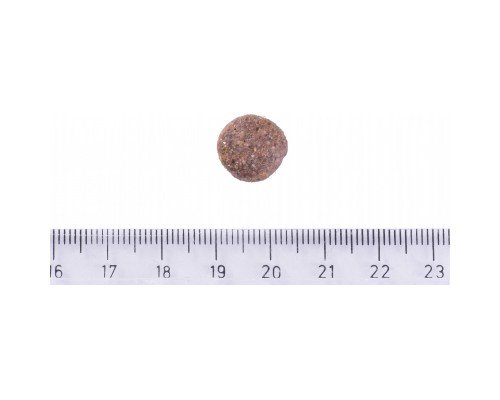 Сухий корм для собак Brit Care Dog Grain-free Adult для малих і середніх порід з лососем 3 кг (8595602558841)