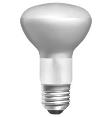 Лампочка Electrum R63 75W E27 мат. (A-IR-0612)