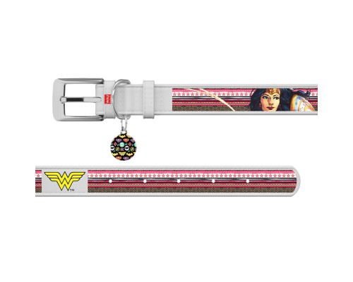 Нашийник для тварин WAUDOG Design з QR паспортом 