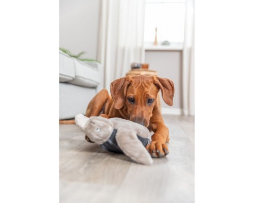 Іграшка для собак Trixie BE NORDIC Черепаха Хауке 34 см сіра (4011905360621)