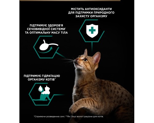 Вологий корм для кішок Purina Pro Plan Sterilised Мультипак яловичина та курка 10 x 85 г (8445290855473) Вологий корм для кішок Purina Pro Plan Sterilised Мультипак яловичина та курка 10 x 85 г (8445290855473)